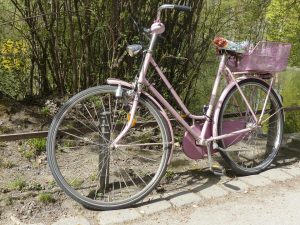 Spor, sport, cycling