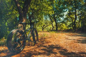 Spor, sport, cycling