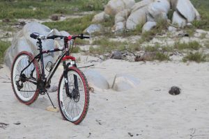 Spor, sport, cycling