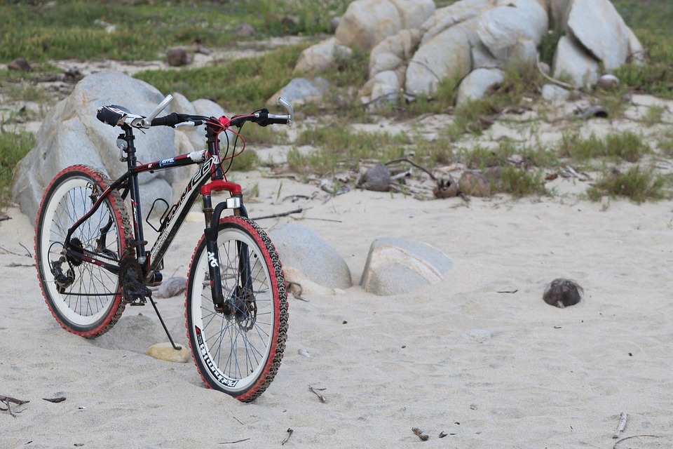 Spor, sport, cycling