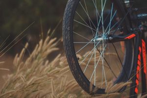 Spor, sport, cycling