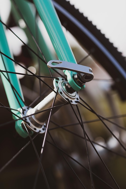 Spor, sport, cycling