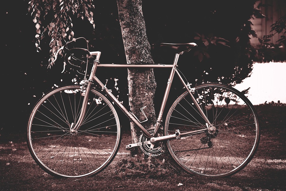 Spor, sport, cycling