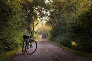 Spor, sport, cycling