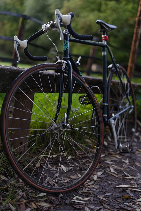 Spor, sport, cycling