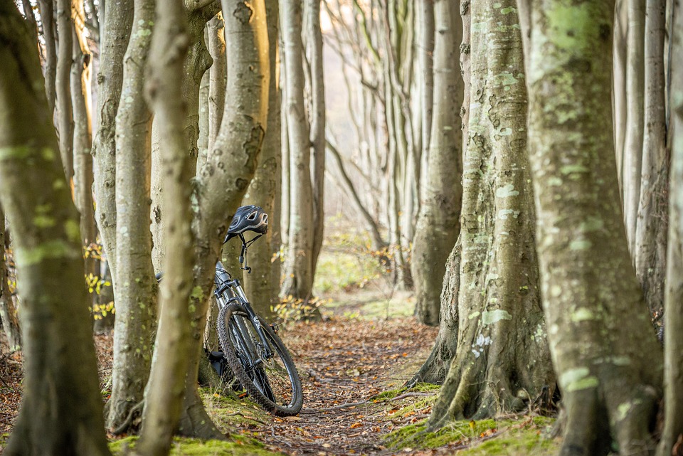 Spor, sport, cycling