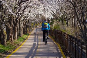 Spor, sport, cycling