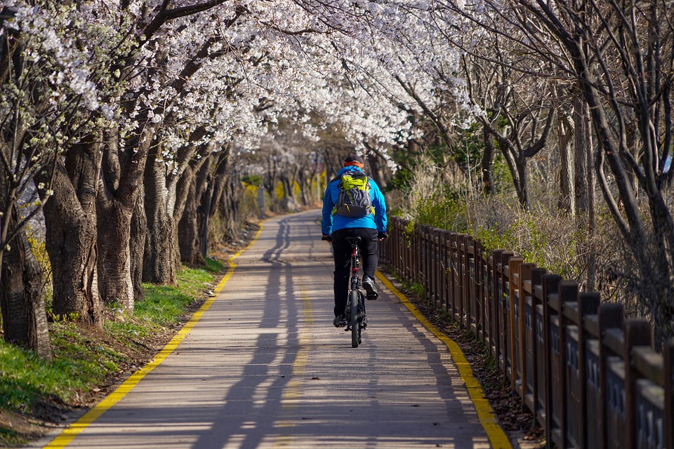 Spor, sport, cycling