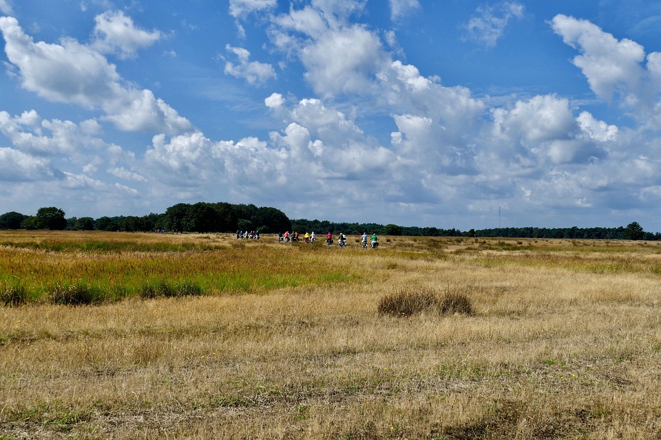 Spor, sport, cycling