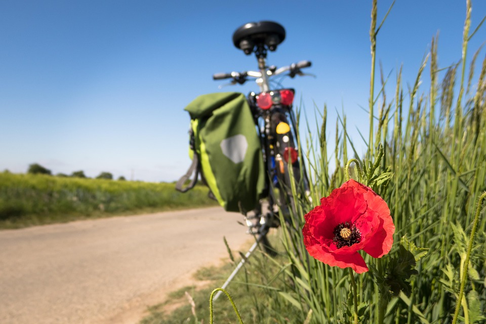 Spor, sport, cycling