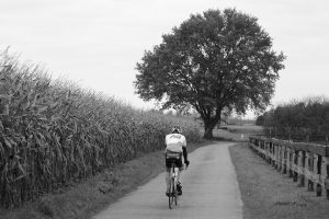 Spor, sport, cycling