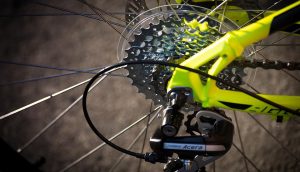 Spor, sport, cycling