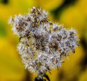 Spor, sport, cycling