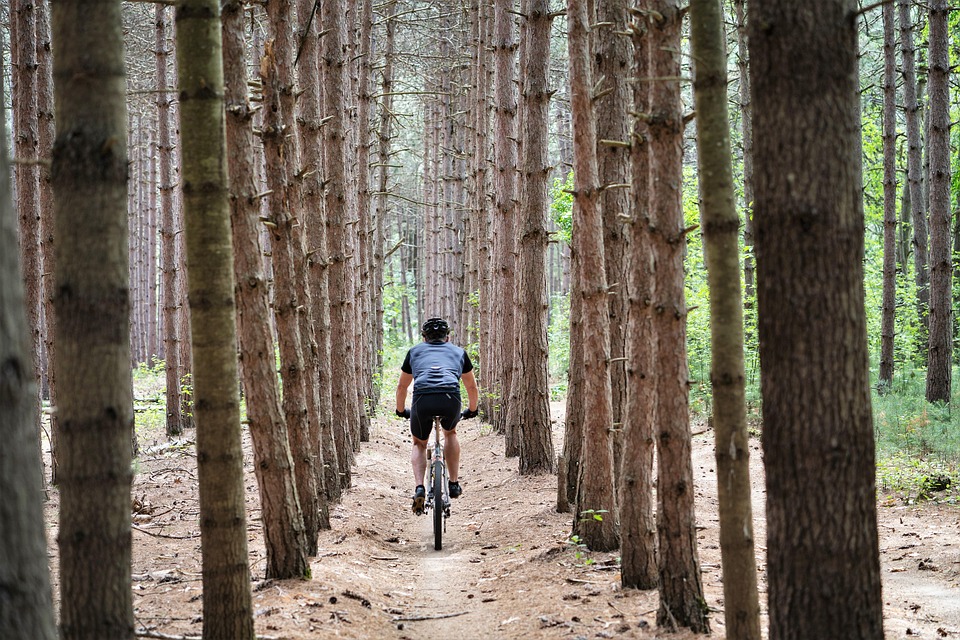 Spor, sport, cycling
