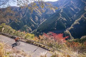 Spor, sport, cycling