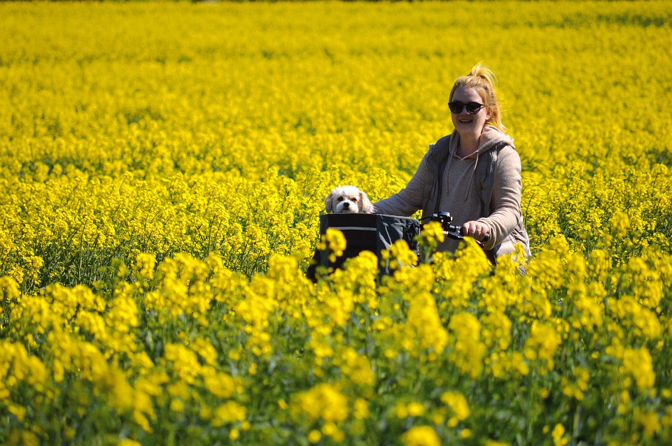 Spor, sport, cycling