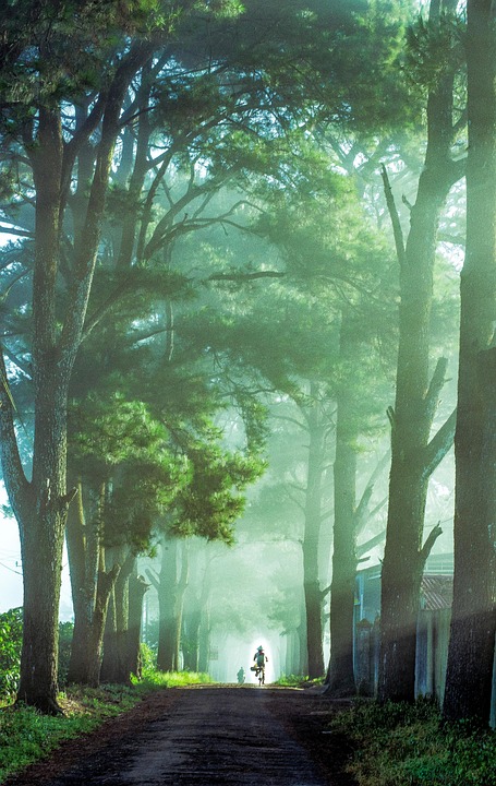 Spor, sport, cycling