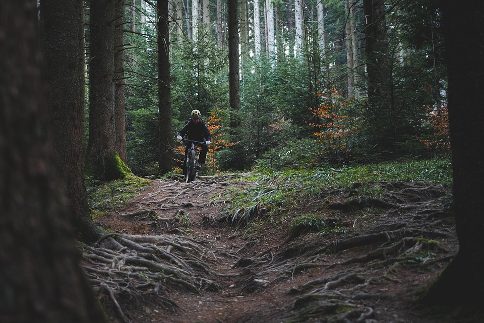 Spor, sport, cycling