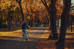 Spor, sport, cycling