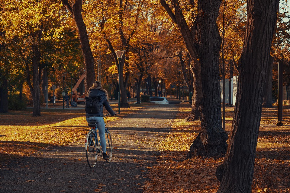 Spor, sport, cycling