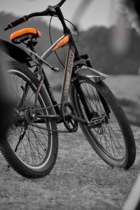 [Cape Epic cycle]