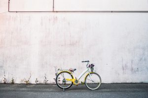 [Cape Epic cycle]