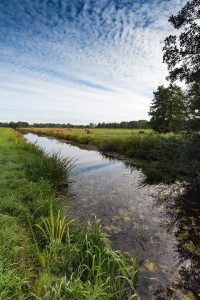[Presidential Cycling Tour of Türkiye]