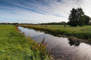 [Presidential Cycling Tour of Türkiye]