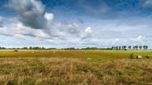 [Presidential Cycling Tour of Türkiye]