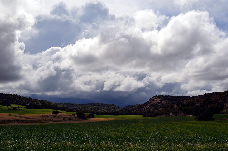 [Quebrantahuesos y Treparriscos]