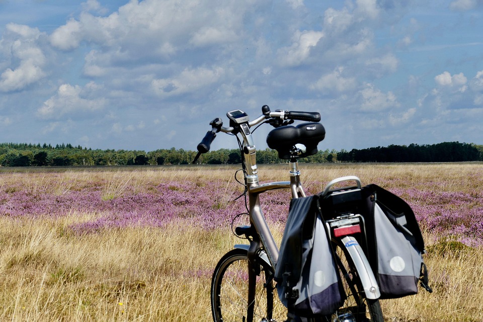[Presidential Cycling Tour of Türkiye]