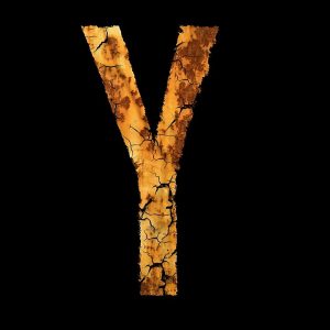 [Quebrantahuesos y Treparriscos]