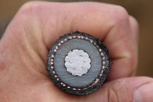 [Quebrantahuesos y Treparriscos]