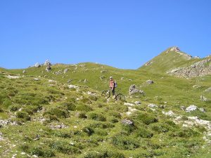 [Presidential Cycling Tour of Türkiye]