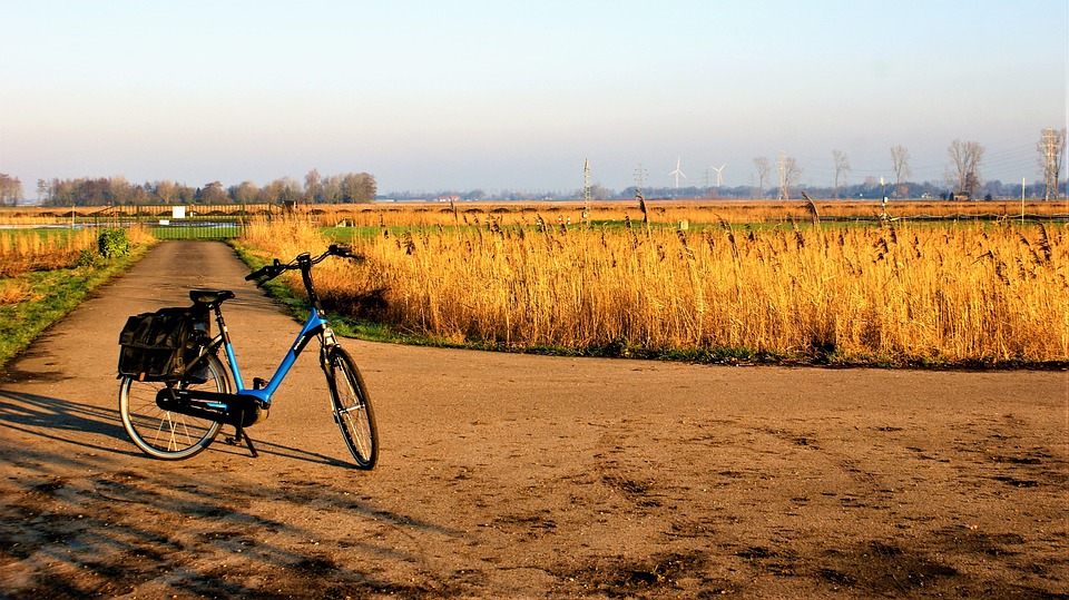 [Tour of Flanders]