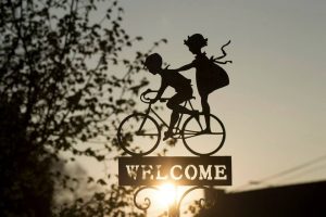 [Cape Epic cycle]