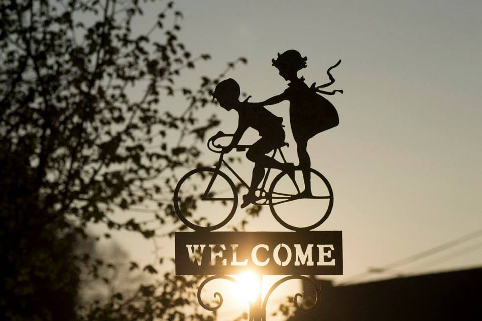 [Cape Epic cycle]