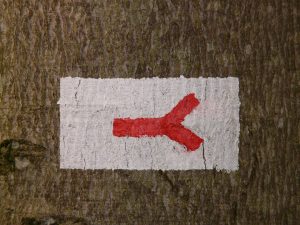 [Quebrantahuesos y Treparriscos]