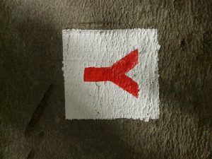 [Quebrantahuesos y Treparriscos]