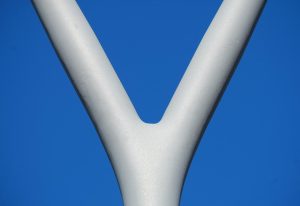 [Quebrantahuesos y Treparriscos]