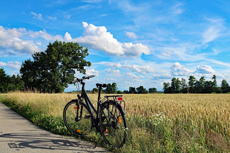 [Presidential Cycling Tour of Türkiye]