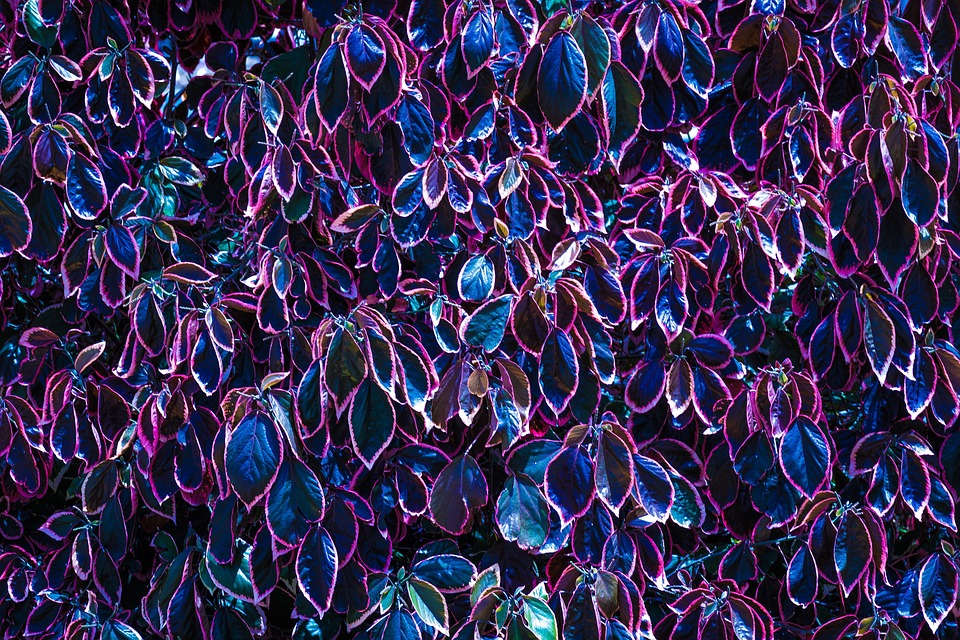 [Veloturk Gran Fondo Çeşme]