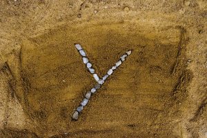 [Quebrantahuesos y Treparriscos]