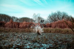 [Presidential Cycling Tour of Türkiye]
