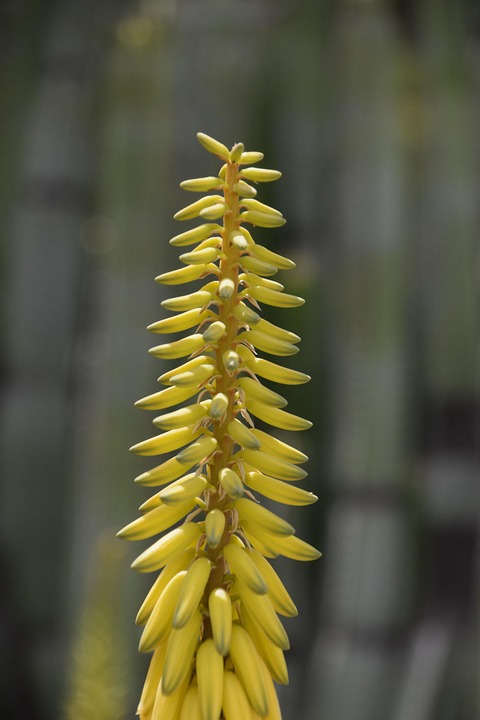 [Veloturk Gran Fondo Çeşme]