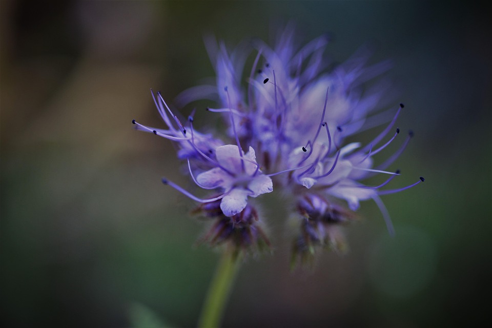[Veloturk Gran Fondo Çeşme]