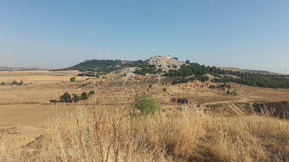 [Quebrantahuesos y Treparriscos]