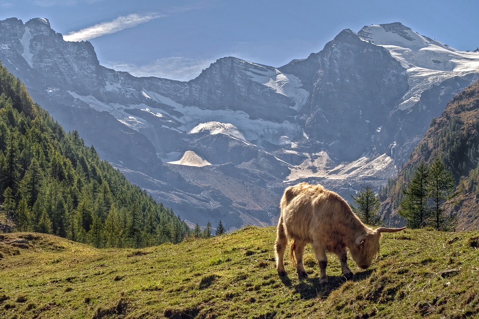 [Veloturk Gran Fondo Çeşme]