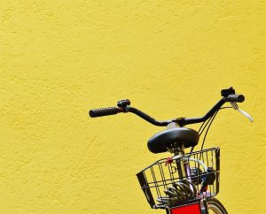 [Cape Epic cycle]