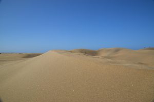 [Veloturk Gran Fondo Çeşme]